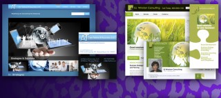 jagmedia-wordpress-website-design-branding-venice-beach-900x400
