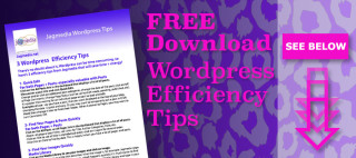 Jagmedia-Wordpress-Tips-Free-Download