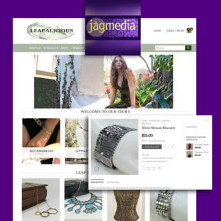 Ecommerce-Wordpress-Jagmedia-Website Design Santa Monica